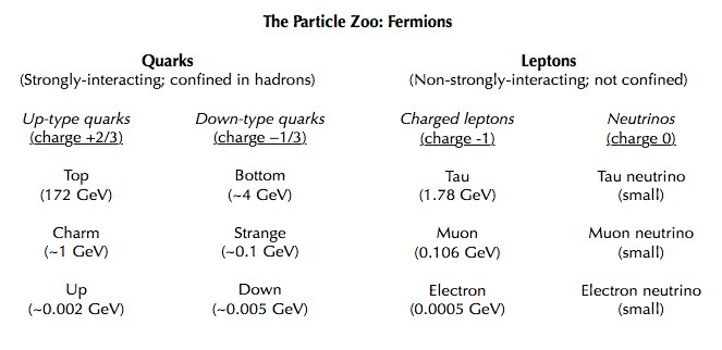 PZoo-fermions